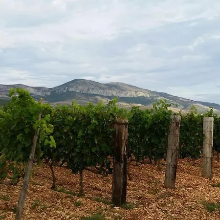 Prázdninový dům Unique 100 Y Old Dalmatian 3 Bedrooms House, Under Mountain, 14km Np Krka,30 Mins Drive To