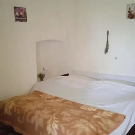Holiday home Unique 100 Y Old Dalmatian 3 Bedrooms House, Under Mountain, 14km Np Krka,30 Mins Drive To Razvode